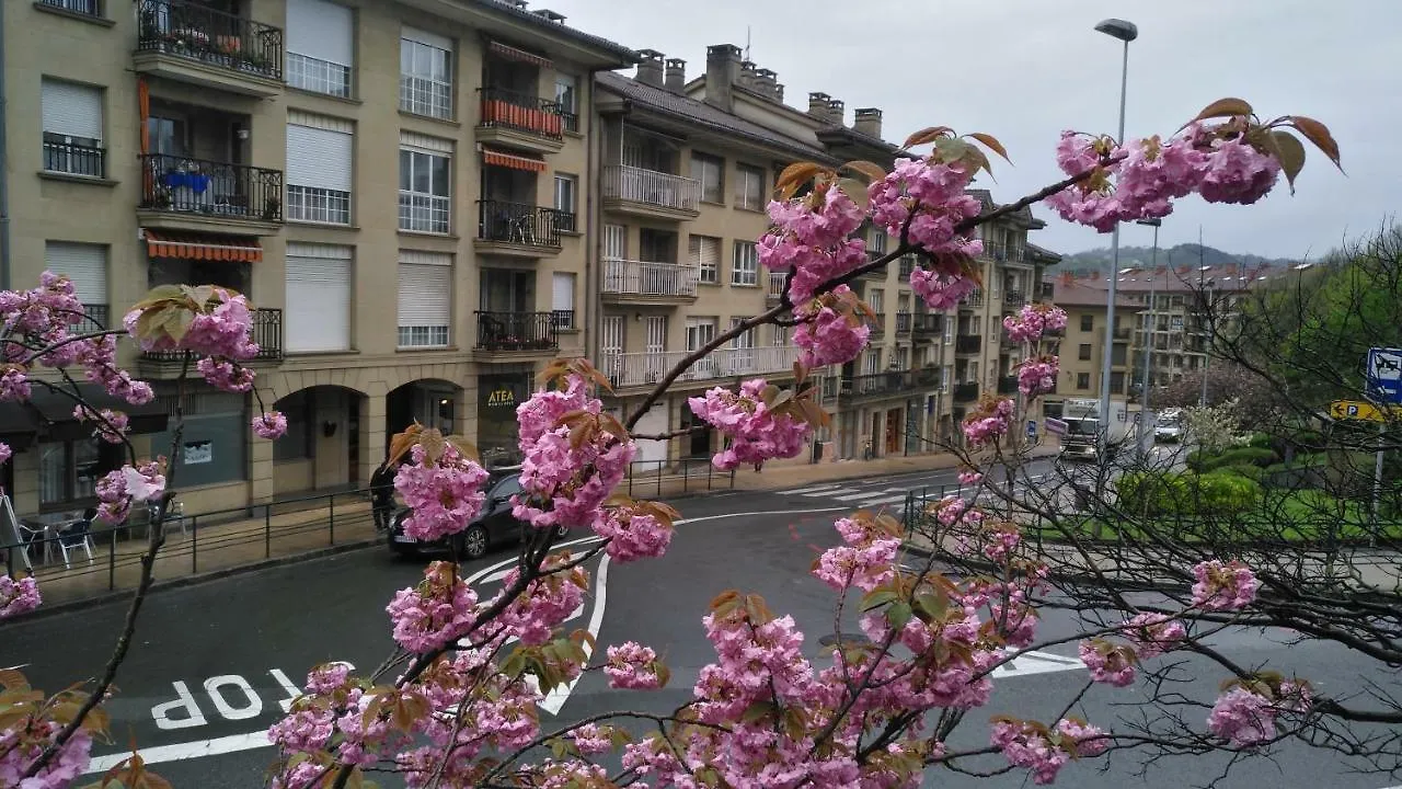 Kaixo Museum Con Parking Gratis Apartment Zarautz 0*,