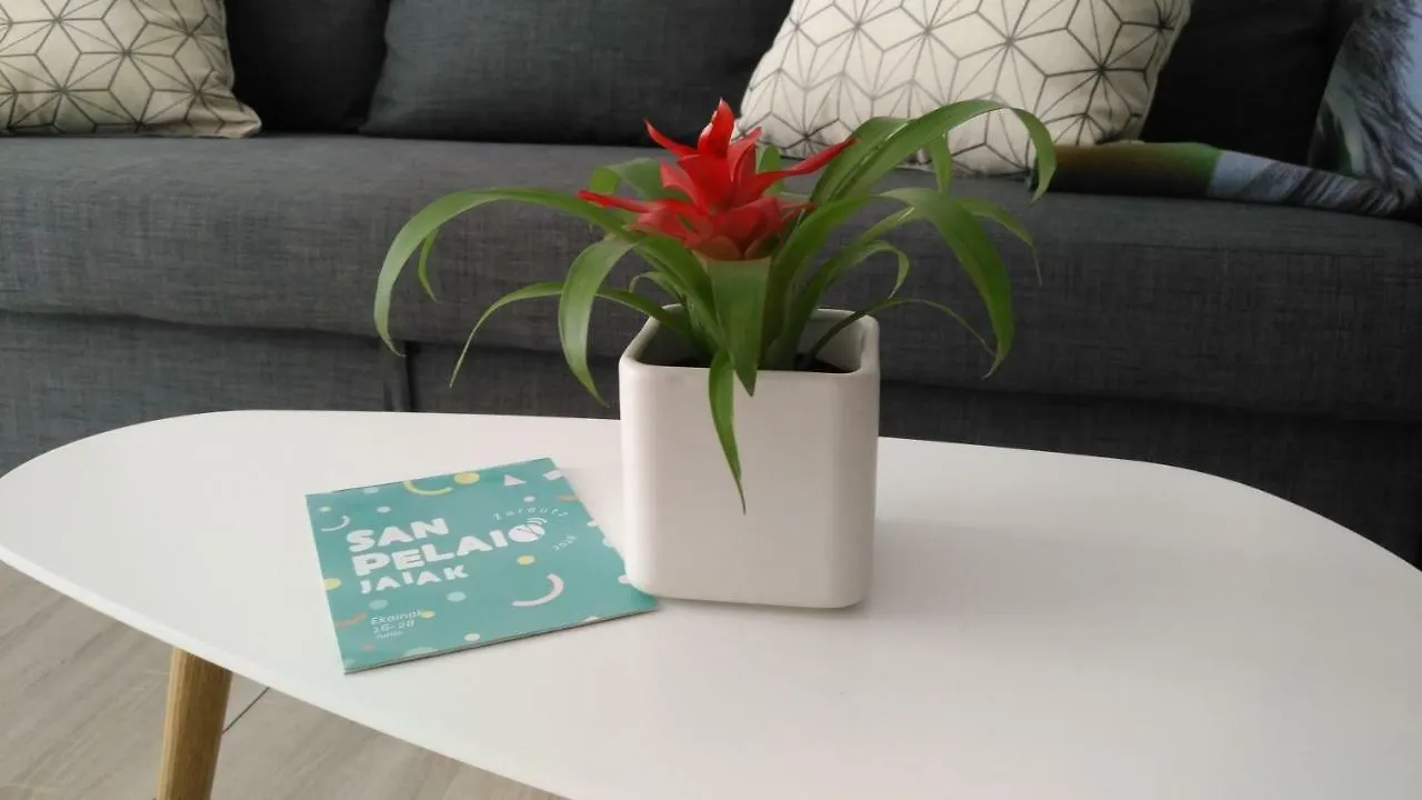 Kaixo Museum Con Parking Gratis Apartment Zarautz